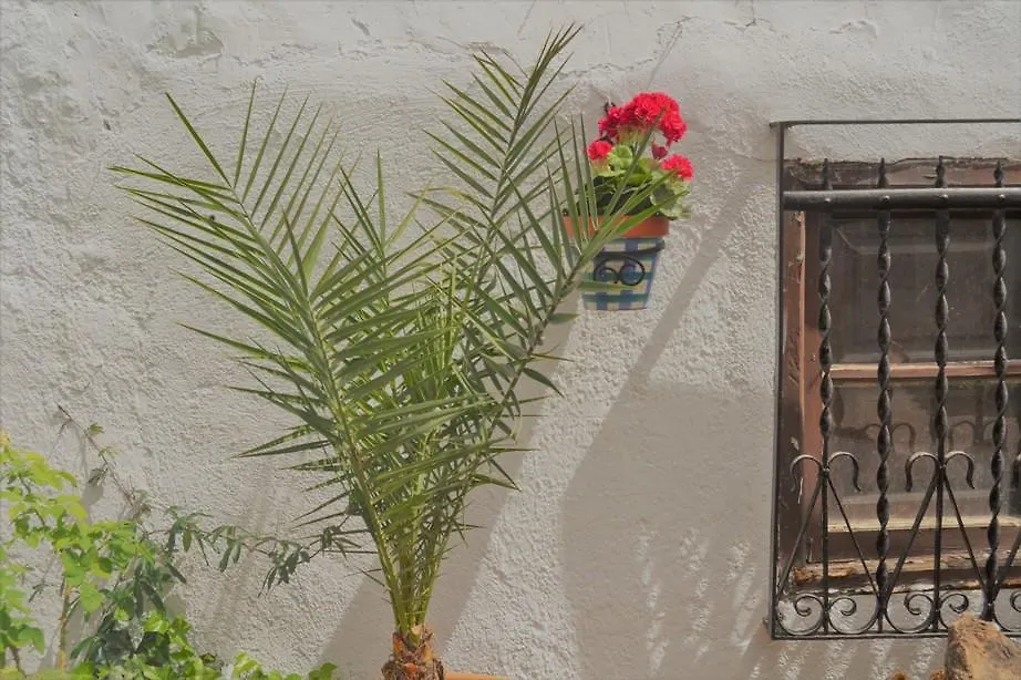 Séjour à la campagne Maison d'hôtes El Soto De Roma à Grenade Espagne